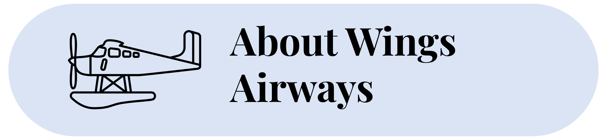 About Wings Airways(3)