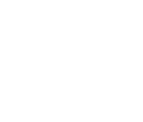 Wings Airways